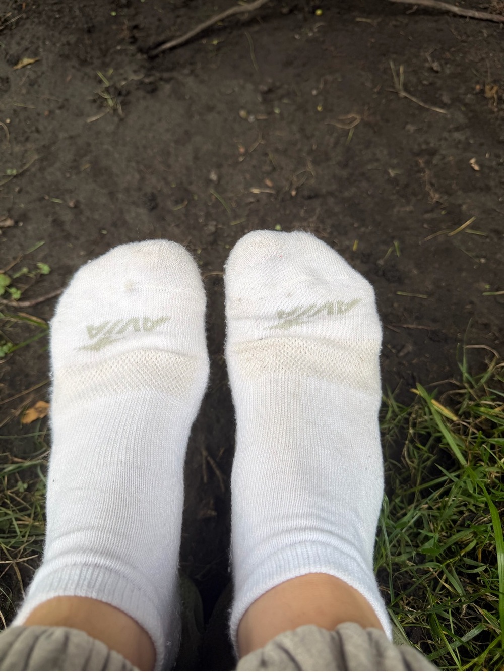 Avia women’s socks